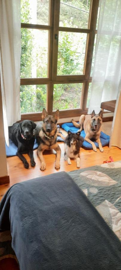 Posada Pet Friendly El Molino De Cantabria Entrambasaguas  Zewnętrze zdjęcie
