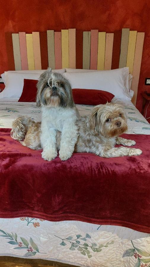 Posada Pet Friendly El Molino De Cantabria Entrambasaguas  Zewnętrze zdjęcie