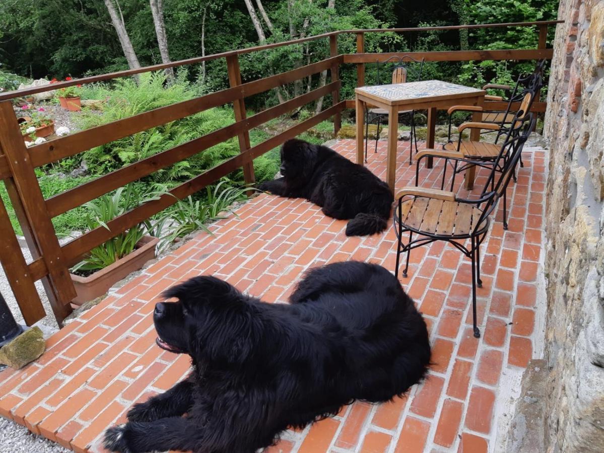 Posada Pet Friendly El Molino De Cantabria Entrambasaguas  Zewnętrze zdjęcie