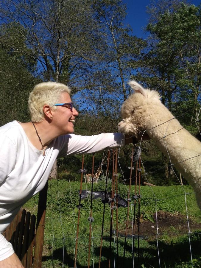 Posada Pet Friendly El Molino De Cantabria Entrambasaguas  Zewnętrze zdjęcie