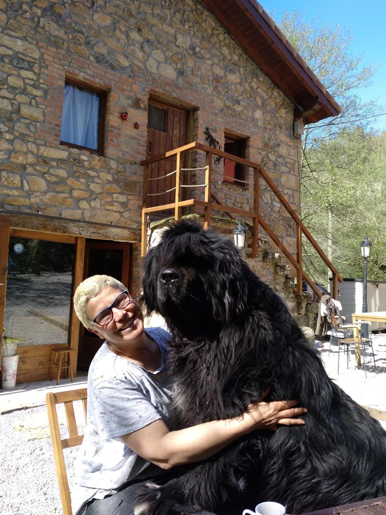 Posada Pet Friendly El Molino De Cantabria Entrambasaguas  Zewnętrze zdjęcie