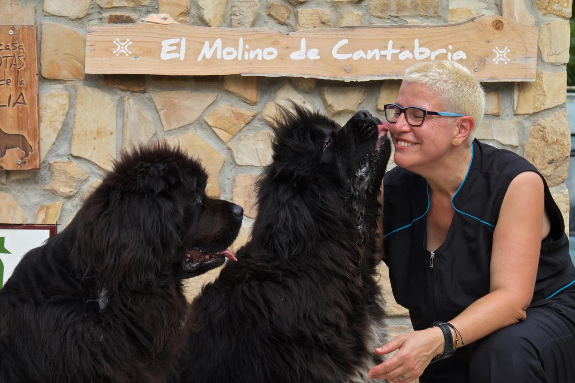 Posada Pet Friendly El Molino De Cantabria Entrambasaguas  Zewnętrze zdjęcie