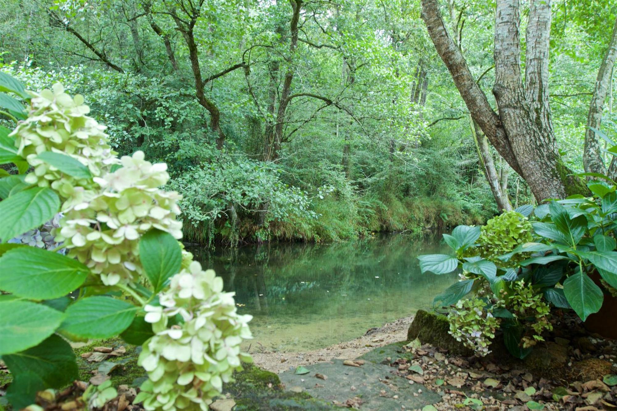 Posada Pet Friendly El Molino De Cantabria Entrambasaguas  Zewnętrze zdjęcie