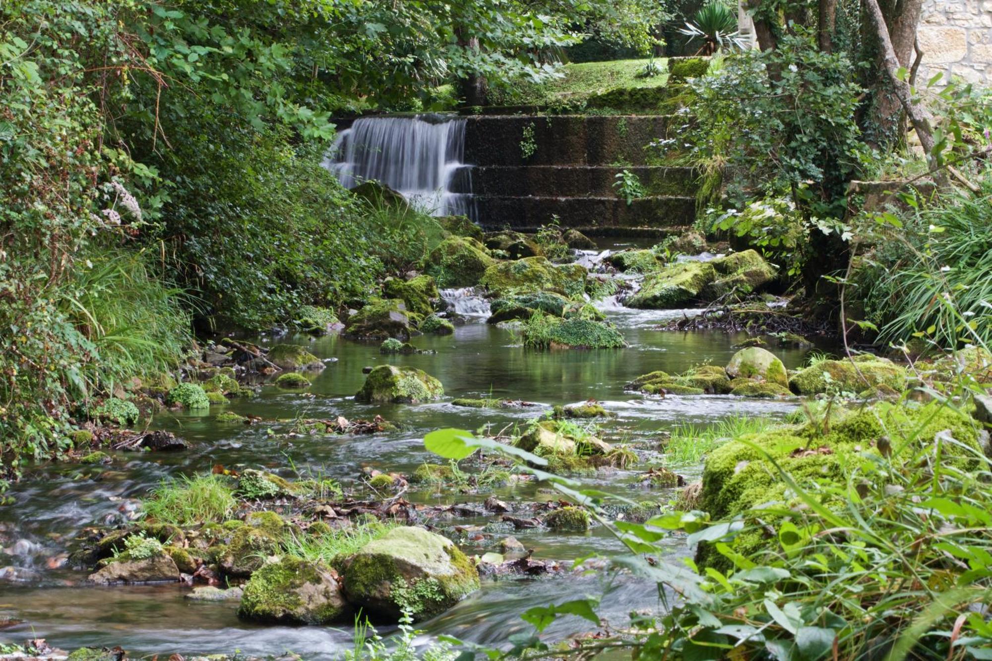 Posada Pet Friendly El Molino De Cantabria Entrambasaguas  Zewnętrze zdjęcie