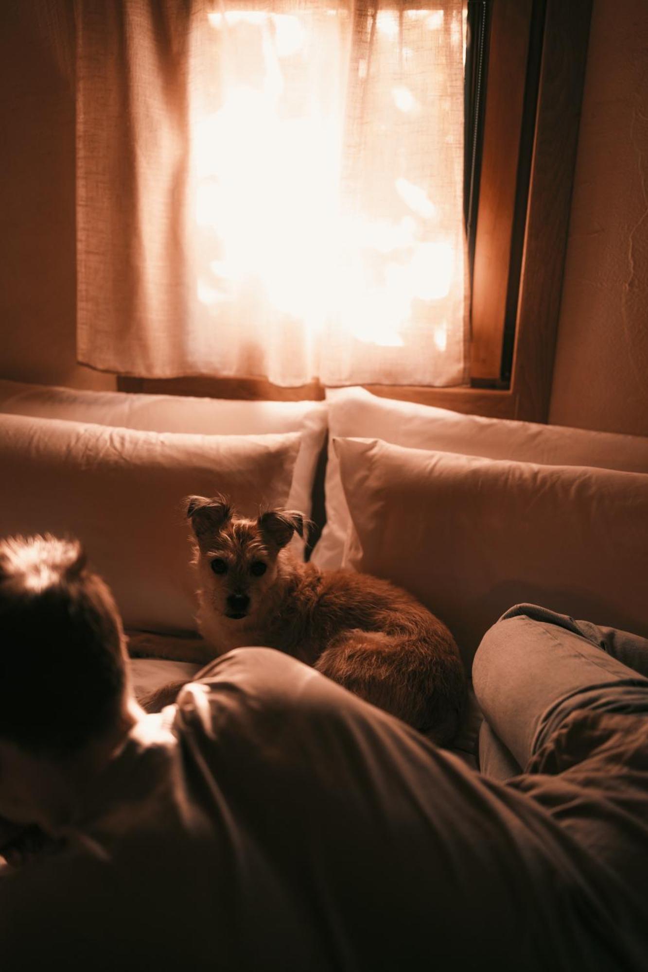 Posada Pet Friendly El Molino De Cantabria Entrambasaguas  Zewnętrze zdjęcie